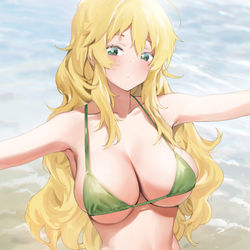 This is a pixiv picture whose title is last star of summer.