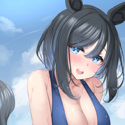 This is a pixiv picture whose title is エイシンさんと海に行きたい.