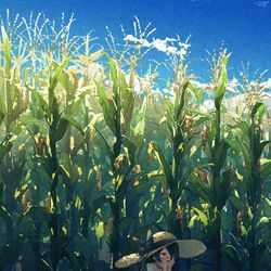 This is a pixiv picture whose title is もろこし.