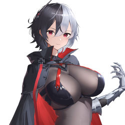 This is a pixiv picture whose title is ブリュンヒルデ.