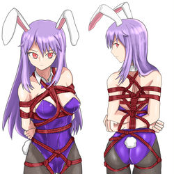 This is a pixiv picture whose title is Reisen the rope bunny.