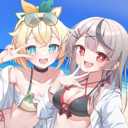 This is a pixiv picture whose title is シャチと忍者.