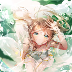 This is a pixiv picture whose title is Diphylleia grayi.