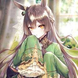 This is a pixiv picture whose title is サトノダイヤモンド.