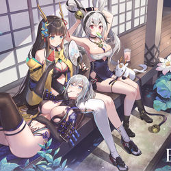 This is a pixiv picture whose title is 〈仕事イラスト〉夏夜.