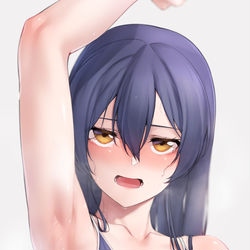 This is a pixiv picture whose title is 「破廉恥ですッ」.