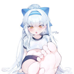 This is a pixiv picture whose title is commission.