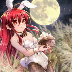 This is a pixiv picture whose title is 月と兎.