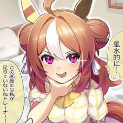 This is a pixiv picture whose title is 風水的にトレーナーの部屋に入り込もうとするリッキー.