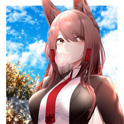 This is a pixiv picture whose title is Akagi.