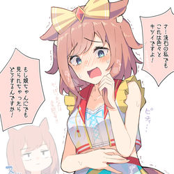 This is a pixiv picture whose title is 昔の勝負服を着てくれるアグネスデジタル○○歳.