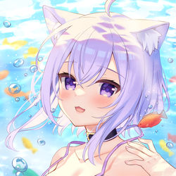 This is a pixiv picture whose title is ホロライブサマー！.