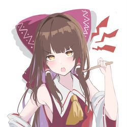 This is a pixiv picture whose title is touhou.