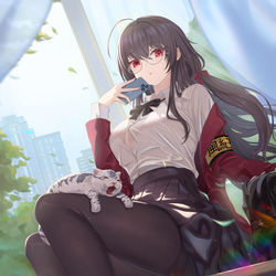 This is a pixiv picture whose title is 大鳳.