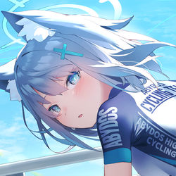 This is a pixiv picture whose title is シロコ （ライディング）.