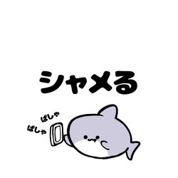 This is a pixiv picture whose title is no.1775 『 シャメる 』.