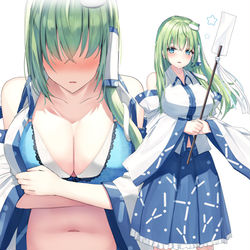 This is a pixiv picture whose title is 早苗さん.