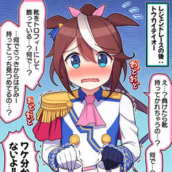 This is a pixiv picture whose title is レジェンドレースの後：トウカイテイオー.
