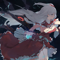 This is a pixiv picture whose title is 神綺.