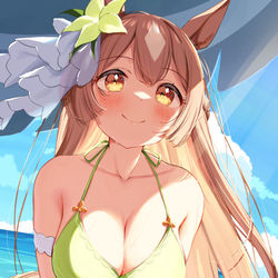 This is a pixiv picture whose title is 水着ダイヤちゃん！②.