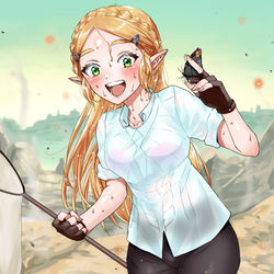 This is a pixiv picture whose title is 一時間ほどヒケシアゲハを追いかけたゼルダ様.