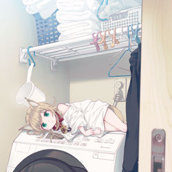 This is a pixiv picture whose title is 最近は洗濯機の上がお気に入りのきなこ🐾.