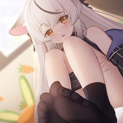 This is a pixiv picture whose title is ココナ.
