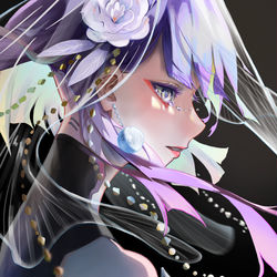 This is a pixiv picture whose title is Moon Bride.