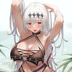 This is a pixiv picture whose title is 水着闇ジャンヌ.