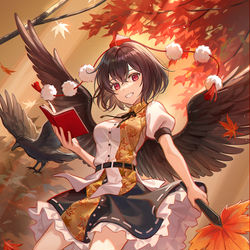 This is a pixiv picture whose title is 射命丸文.