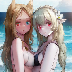 This is a pixiv picture whose title is アルケットとワルファリン.