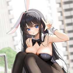This is a pixiv picture whose title is 遊び場ウサギ.