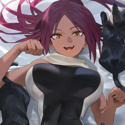 This is a pixiv picture whose title is Yoruichi.