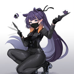 This is a pixiv picture whose title is Ina ninja.