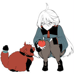 This is a pixiv picture whose title is たぬきの信頼を得る方法.