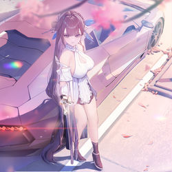 This is a pixiv picture whose title is 素裳.