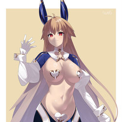 This is a pixiv picture whose title is アルクェイド・逆バニー.