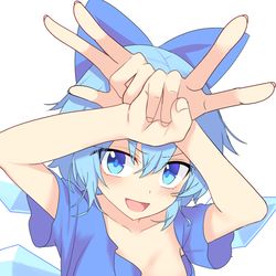 This is a pixiv picture whose title is チルノちゃん!!.