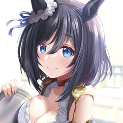 This is a pixiv picture whose title is エイシンフラッシュちゃん.