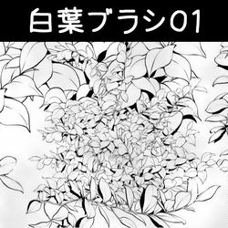 This is a pixiv picture whose title is 白葉ブラシ01.
