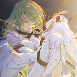 This is a pixiv picture whose title is C.C.