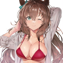 This is a pixiv picture whose title is マルゼンスキーの水着.