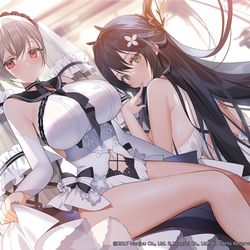 This is a pixiv picture whose title is アズールレーン 5th.