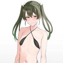 This is a pixiv picture whose title is 水着瑞鶴.
