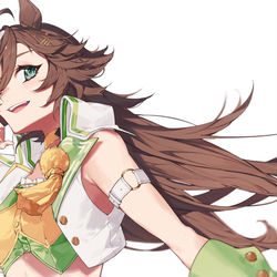 This is a pixiv picture whose title is シービー.