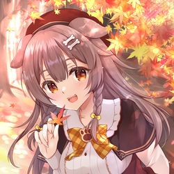 This is a pixiv picture whose title is 秋ころね.