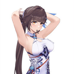 This is a pixiv picture whose title is 素裳.