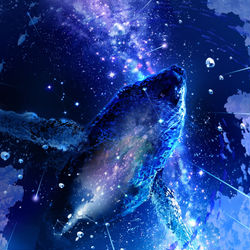 This is a pixiv picture whose title is オリオン座流星群を泳ぐ蒼.