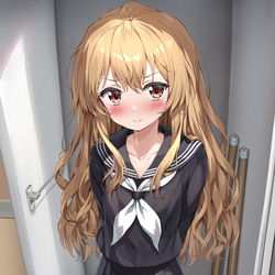 This is a pixiv picture whose title is 逢坂大河.