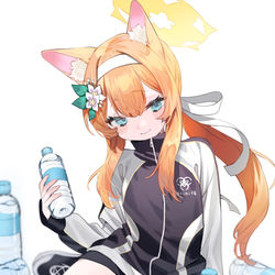 This is a pixiv picture whose title is 体操服マリー.